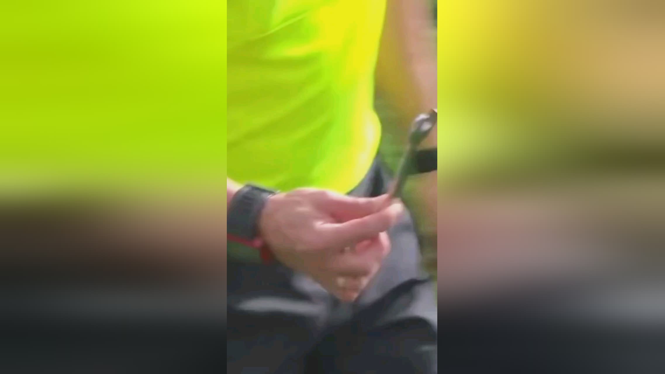 熊加强内线